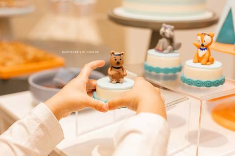 fotografo aniversario casamento ensaio joinville Oliver1ano_Decoração floresta confeitaria artesanal festa em casa estudio fotografia deise dayse daisy evaristo'