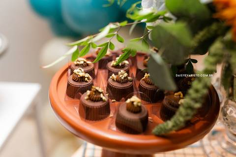 fotografo aniversario casamento ensaio joinville Oliver1ano_Decoração floresta confeitaria artesanal festa em casa estudio fotografia deise dayse daisy evaristo'