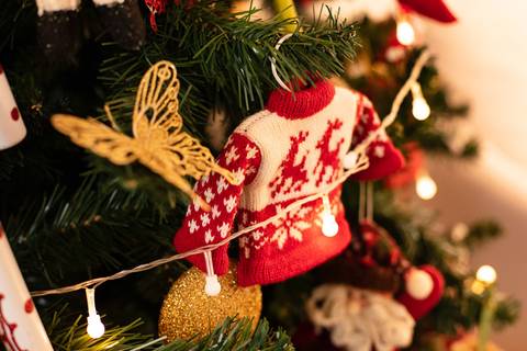 fotografo profissional joinville ensaio em casa estudio fotografia lifestyle Ensaio Natal daisy evaristo ana samir Carmel'