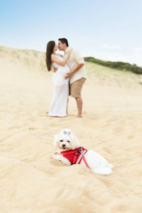 ensaio gestante gravidez Esperando Marina daisy deise evaristo fotografo profissional  joinville janaina bruno mel'