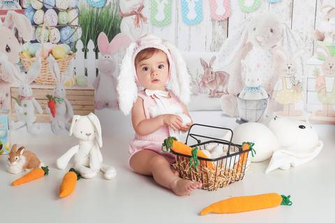 estudio fotografico daisy evaristo fotografia joinville ensaio pascoa acompanhamento'