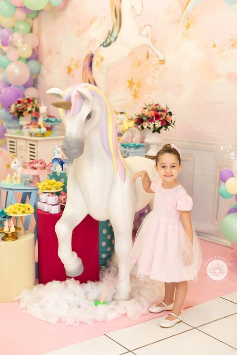 fotografo aniversario joinville decoração unicornio Helena 5 anos Daisy Evaristo Fotografia casa de festa In Festa Buffet fotografo infantil'
