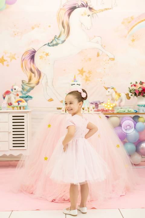 fotografo aniversario joinville decoração unicornio Helena 5 anos Daisy Evaristo Fotografia casa de festa In Festa Buffet fotografo infantil'