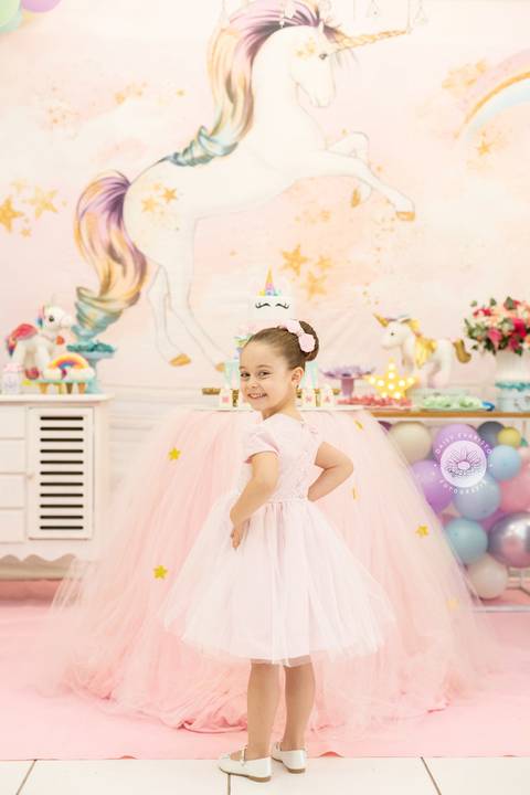 fotografo aniversario joinville decoração unicornio Helena 5 anos Daisy Evaristo Fotografia casa de festa In Festa Buffet fotografo infantil'
