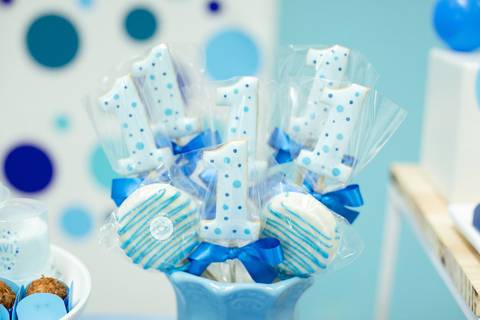 fotografo estudio foto fotografico profissional joinville aniversario kangoos Davi 1 Ano decoração azul'