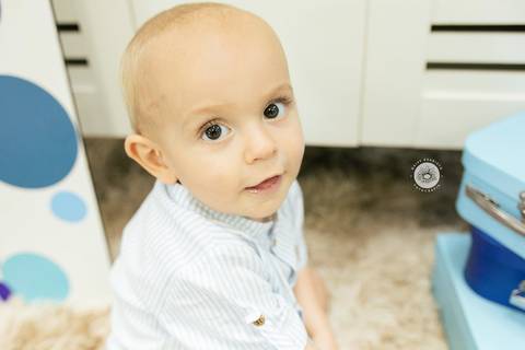 fotografo estudio foto fotografico profissional joinville aniversario kangoos Davi 1 Ano decoração azul'