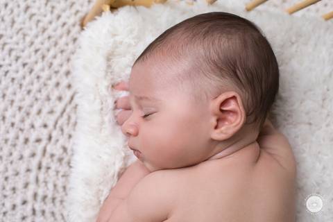 Pedro 26 Dias estudio fotografia fotografico joinville newborn bebe acompanhamento recem nascido daisy daise evaristo'