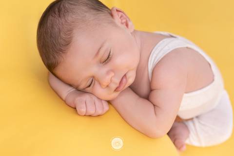 Pedro 26 Dias estudio fotografia fotografico joinville newborn bebe acompanhamento recem nascido daisy daise evaristo'