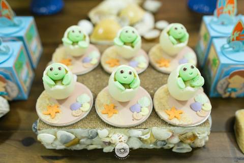 fotografo profissional estúdio fotografia festa aniversario joinville Davi 7 anos ledoleta'