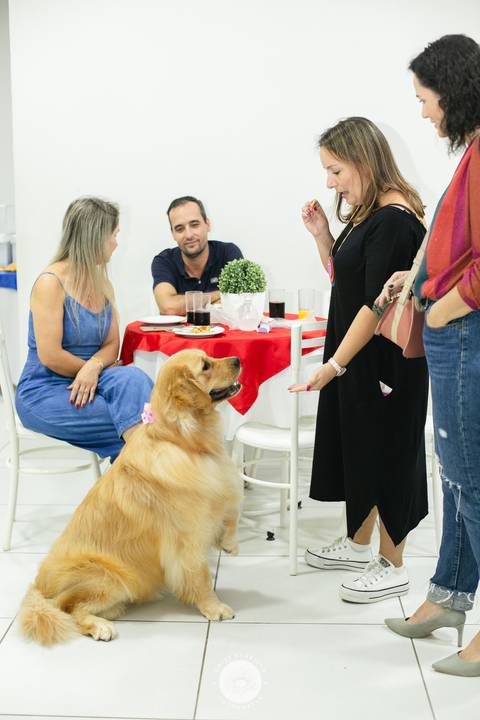 fotografo profissional estúdio fotografia festa aniversario joinville Davi 7 anos ledoleta'