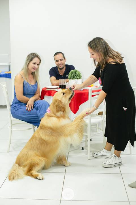 fotografo profissional estúdio fotografia festa aniversario joinville Davi 7 anos ledoleta'