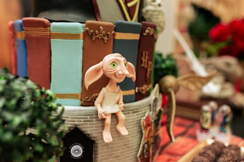 fotografo aniversario joinville Daisy Evaristo Fotografia casa de festa In Festa Buffet Maria Eduarda 8 anos decor Harry Potter'