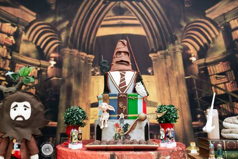 fotografo aniversario joinville Daisy Evaristo Fotografia casa de festa In Festa Buffet Maria Eduarda 8 anos decor Harry Potter'