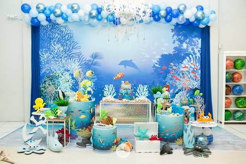 fotografo profissional aniversario Lorenzo 2 anos in festa joinville daisy deise dayse evaristo fotografia'