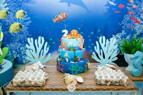 fotografo profissional aniversario Lorenzo 2 anos in festa joinville daisy deise dayse evaristo fotografia'