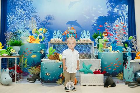 fotografo profissional aniversario Lorenzo 2 anos in festa joinville daisy deise dayse evaristo fotografia'