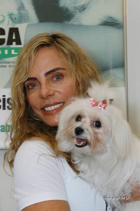 Feira Pet South America - Arca Brasil'