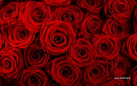 Evento aniversário adulto'