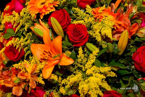 Evento aniversário adulto'