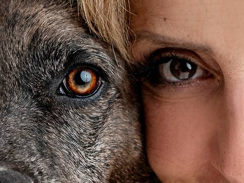 Ensaio pet  estúdio  São Paulo  por Ana Hochheim e Gabi'