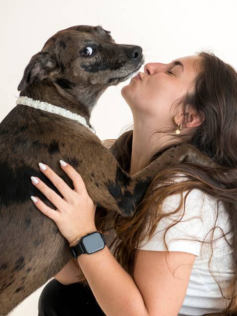 Ensaio pet  estúdio  São Paulo  por Ana Hochheim e Gabi'