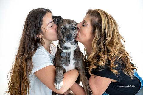 Ensaio pet  estúdio  São Paulo  por Ana Hochheim e Gabi'