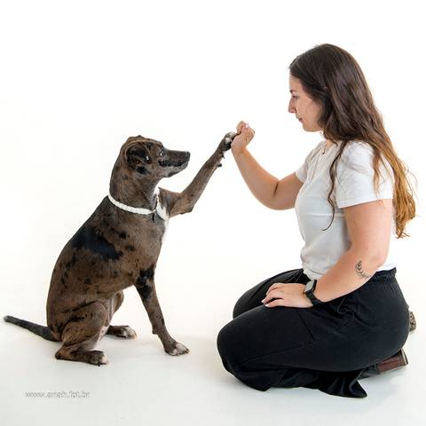 Ensaio pet  estúdio  São Paulo  por Ana Hochheim e Gabi'