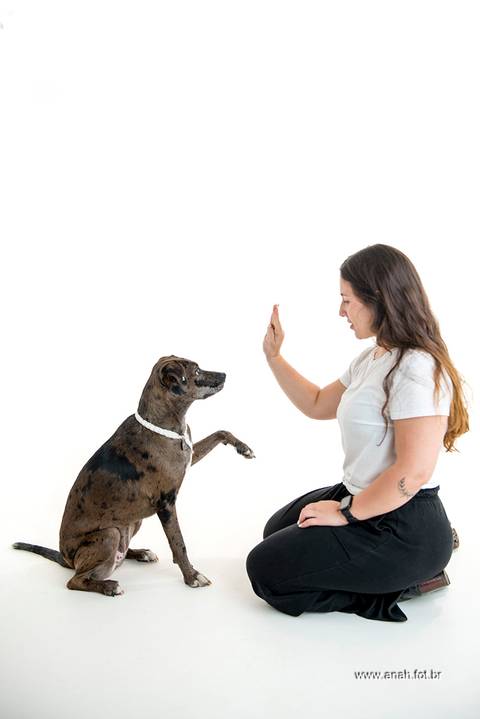 Ensaio pet  estúdio  São Paulo  por Ana Hochheim e Gabi'