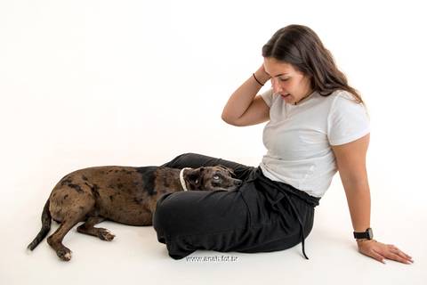 Ensaio pet  estúdio  São Paulo  por Ana Hochheim e Gabi'