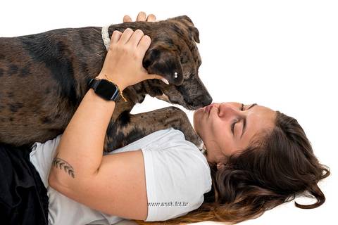 Ensaio pet  estúdio  São Paulo  por Ana Hochheim e Gabi'