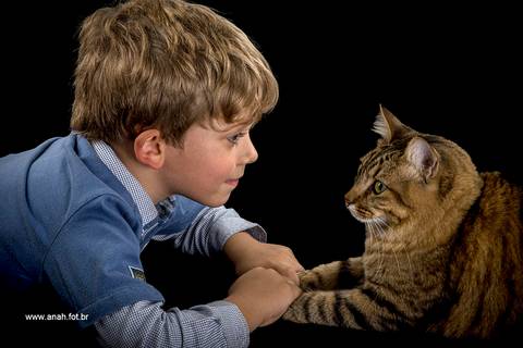 Ensaio pet  estúdio  São Paulo  por Ana Hochheim e Gabi'