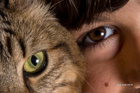 Ensaio pet  estúdio  São Paulo  por Ana Hochheim e Gabi'