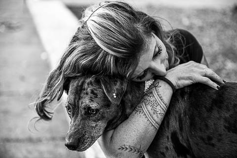 Ensaio pet  parque  São Paulo  por Ana Hochheim e Gabi'