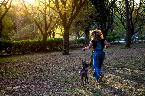 Ensaio pet  parque  São Paulo  por Ana Hochheim e Gabi'