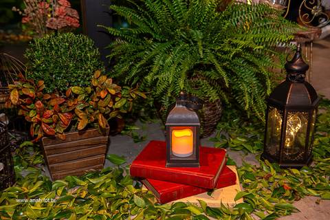 Aniversário 15 anos'