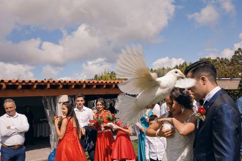 #CasamentoRosaTiago #CasamentoSonho #CasamentoParedes #CasamentoPenafiel #CasamentoAmarante #MelhorFotografoCasamento #CasamentoRebordosa #RMPro #RicardoMaiaFotografia #quintadaferreirinha #quintamontanhaazul #quintadafelicidade #quintadospinheirais #Casa'