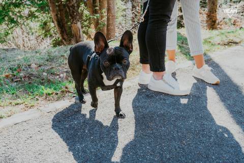 melhores fotógrafos de casamento, casar em braga, casar no porto, casar em Portugal, fotografo de casamento, fotografo artista, videografo de Portugal, melhores videografos, cinema de casamento, fotografia espontânea,'