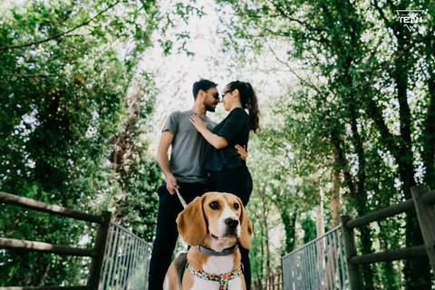 melhores fotógrafos de casamento, casar em braga, casar no porto, casar em Portugal, fotografo de casamento, fotografo artista, videografo de Portugal, melhores videografos, cinema de casamento, fotografia espontânea,'