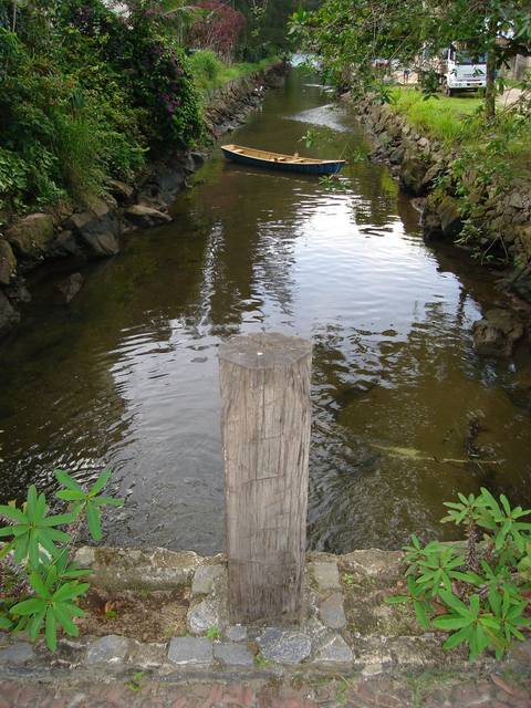 '