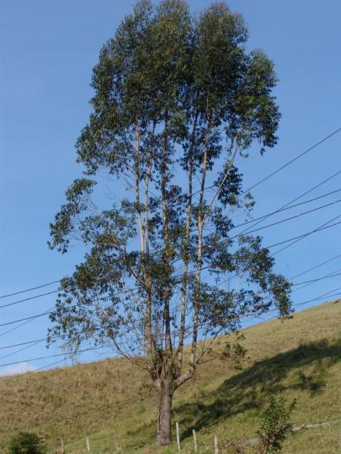 '