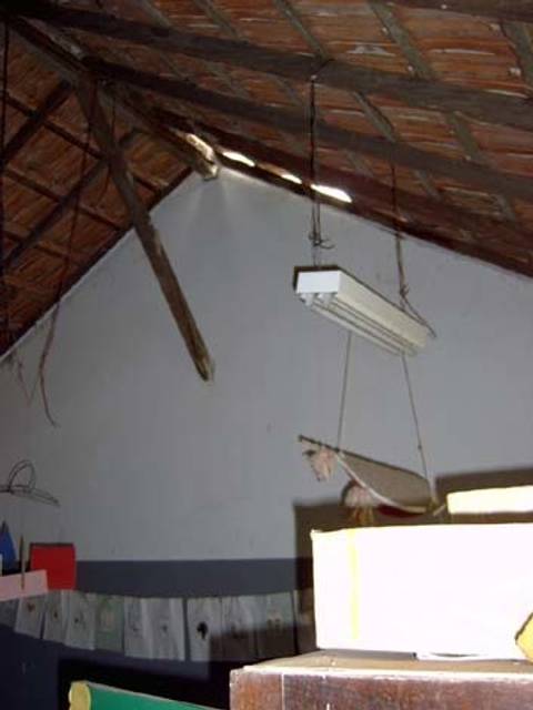 '