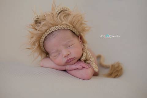 lili carvalho foto de leao '