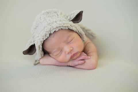 foto de ovelhinha maringa lili carvalho '