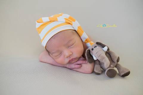 foto com leaozinho maringa lili carvalho '