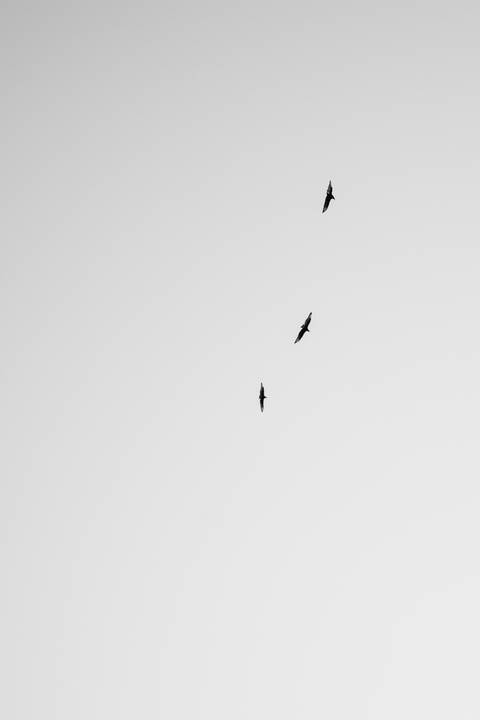 '