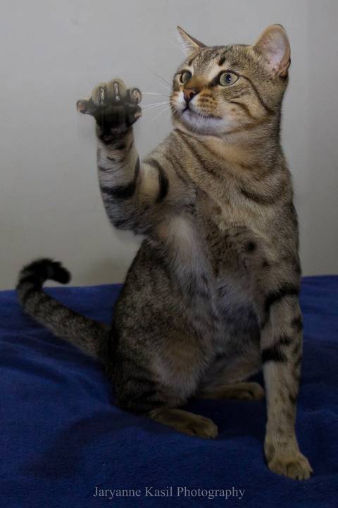 '