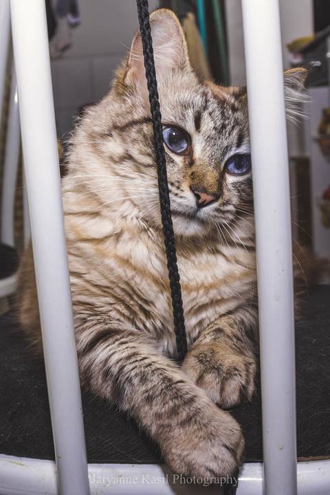 '