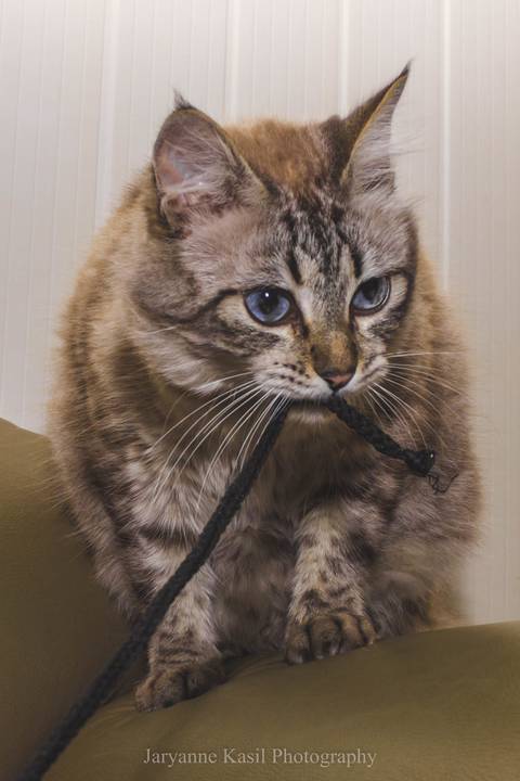 '