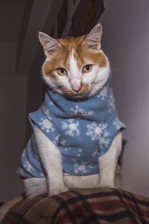 '