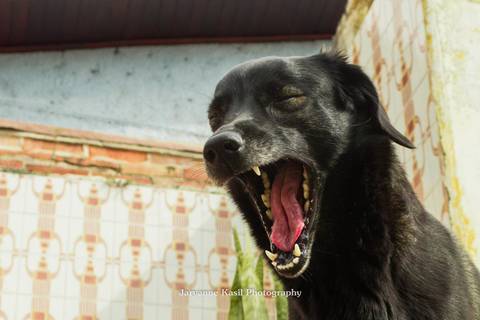 '